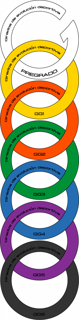 Grados de evolución deportiva-d.a.prosoccer-madrid-toledo