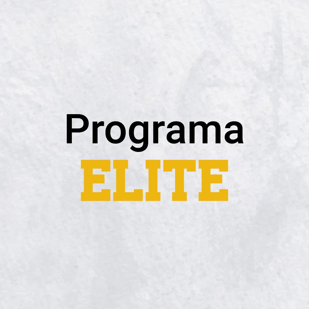 Programa Elite CAMPUS DE VERANORecurso 2