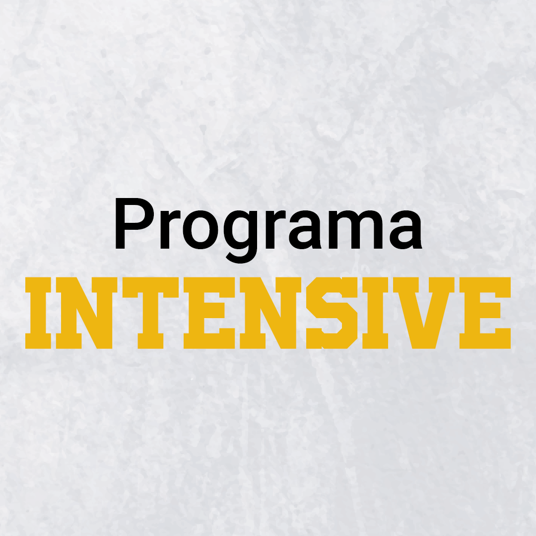 Programa Intensive CAMPUS DE VERANORecurso 3